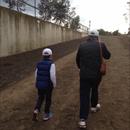 Lachlan and his Grandfather walking home to the stables after trackwork this morning